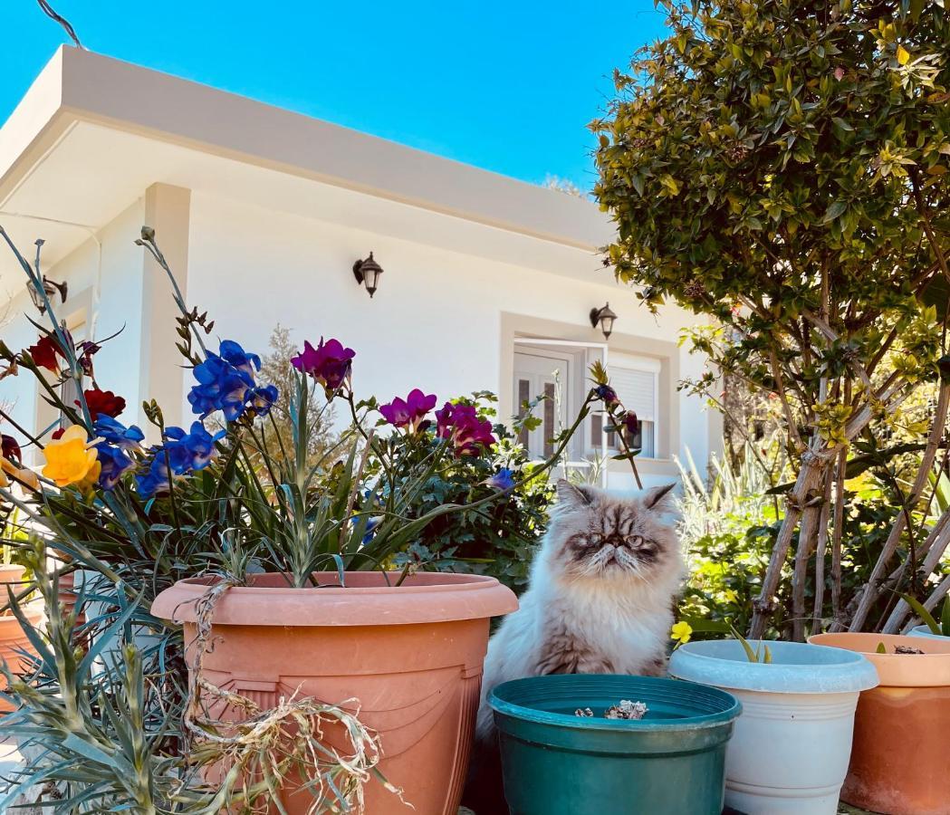 Archangelos Garden House Buitenkant foto