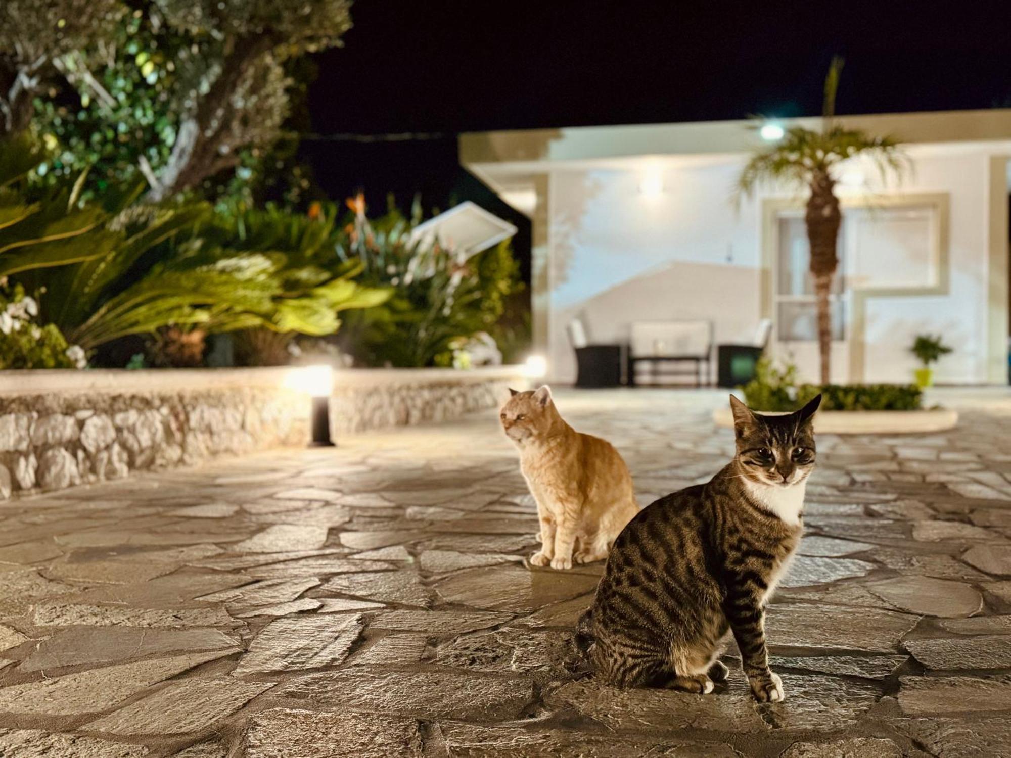 Archangelos Garden House Buitenkant foto
